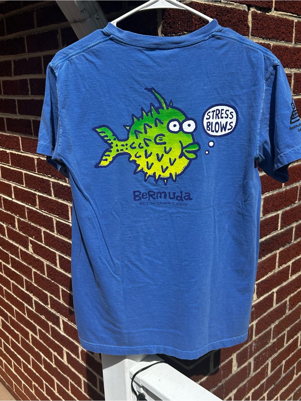 Comfort Colors Blue Tee with Green Puffer Fish Graphic